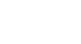 Texas State Affordable Housing Corporation logo